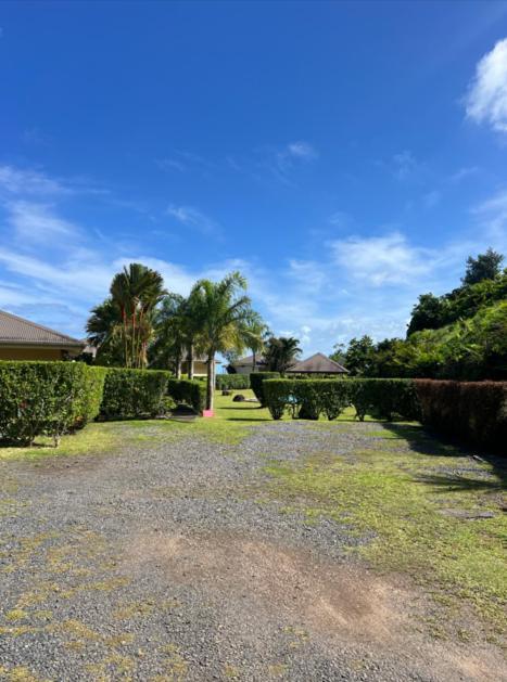 Bungalow Tipanier - Vue Parfaite Tevaitoa ภายนอก รูปภาพ