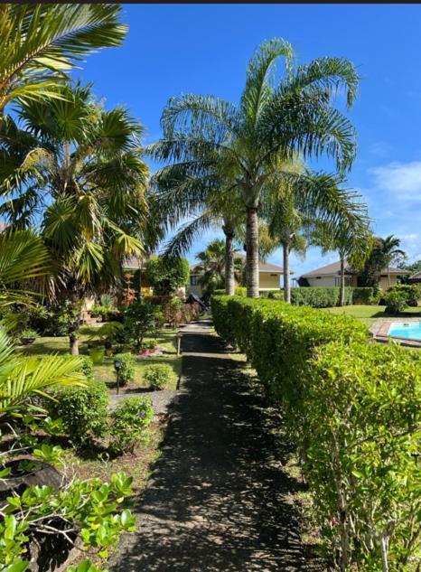Bungalow Tipanier - Vue Parfaite Tevaitoa ภายนอก รูปภาพ