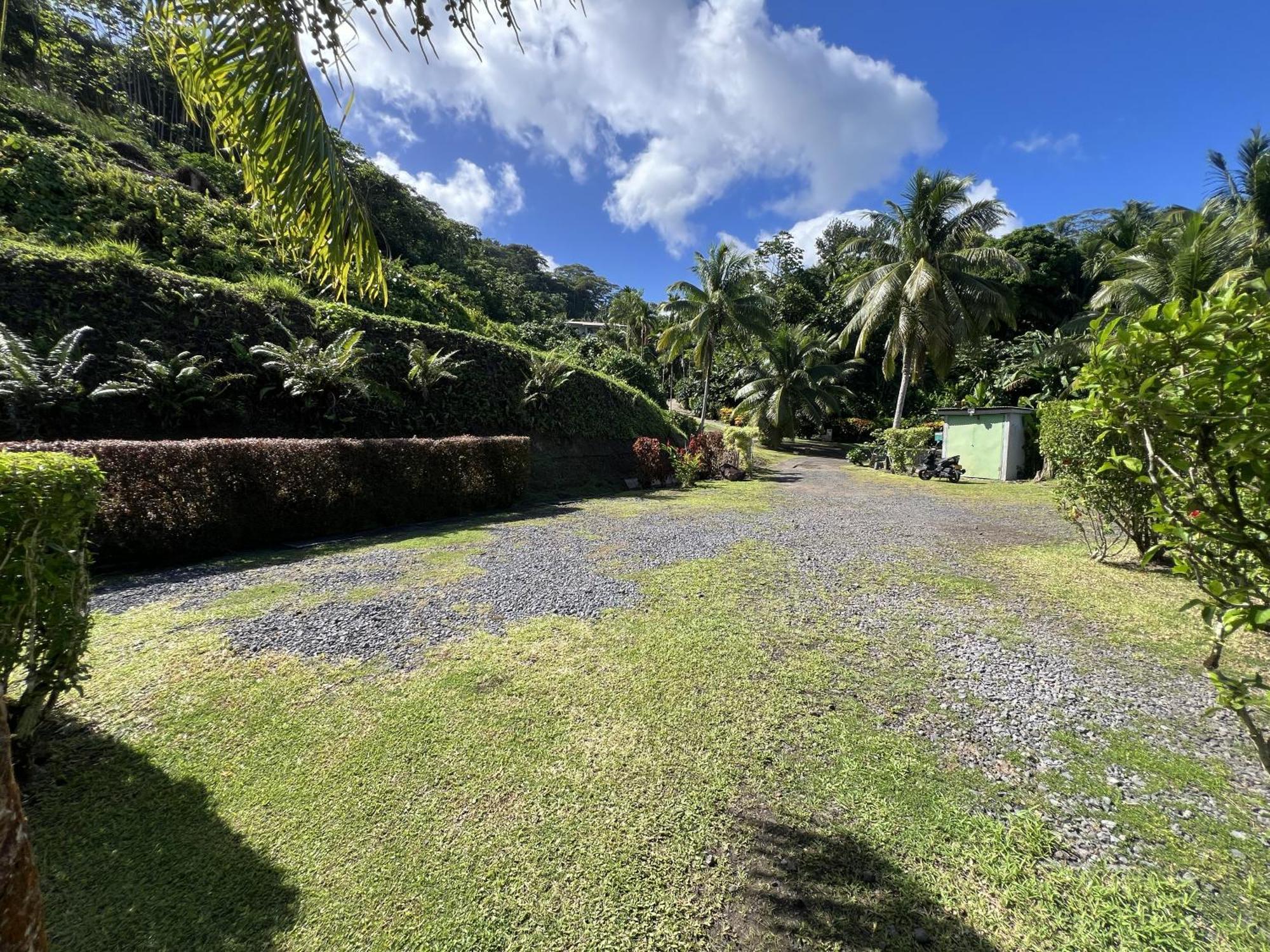 Bungalow Tipanier - Vue Parfaite Tevaitoa ภายนอก รูปภาพ